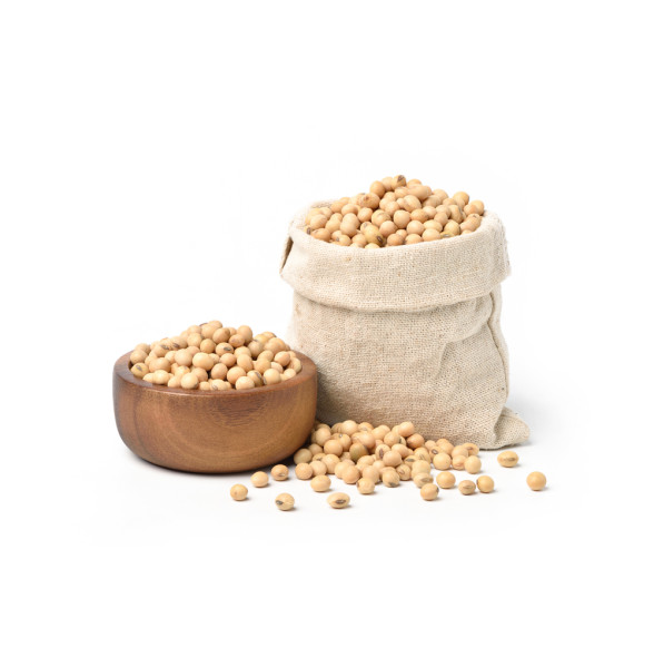 NON GMO SOYA BEANS NON GMO SOYA BEANS